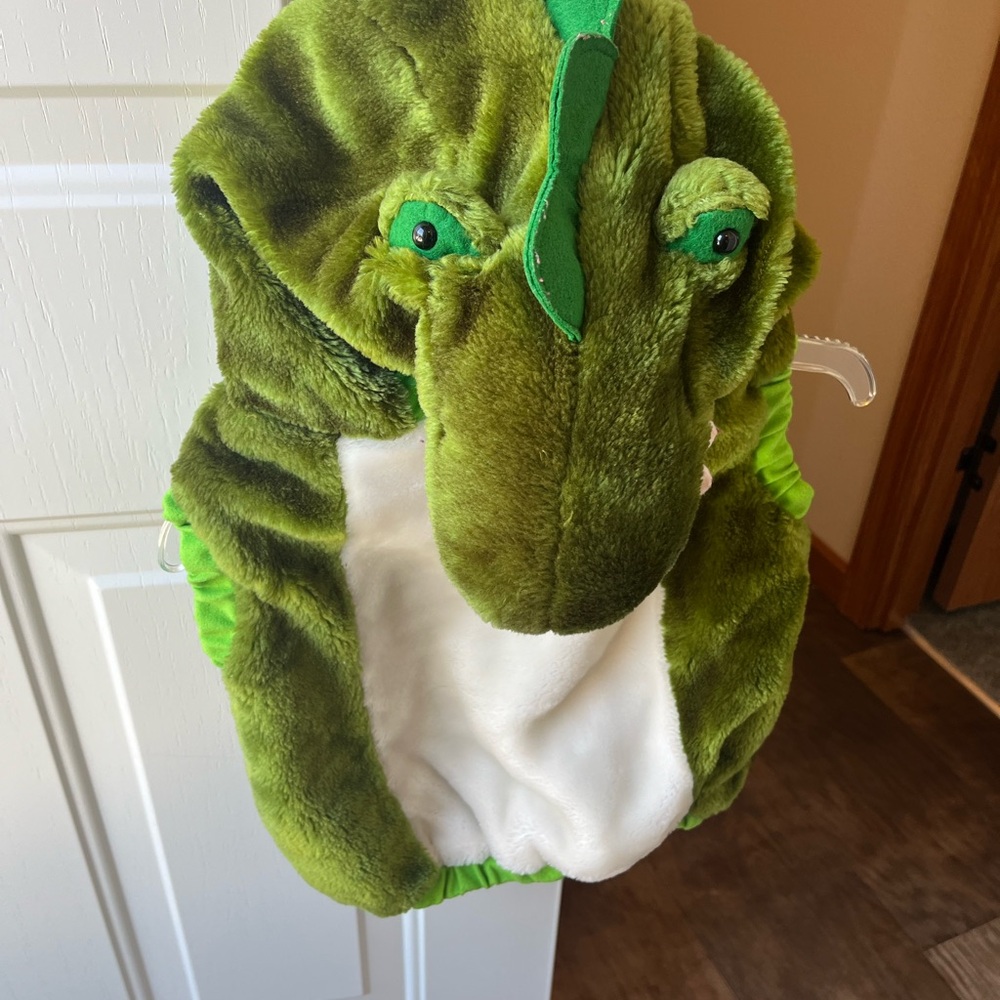 Green Gator Costume